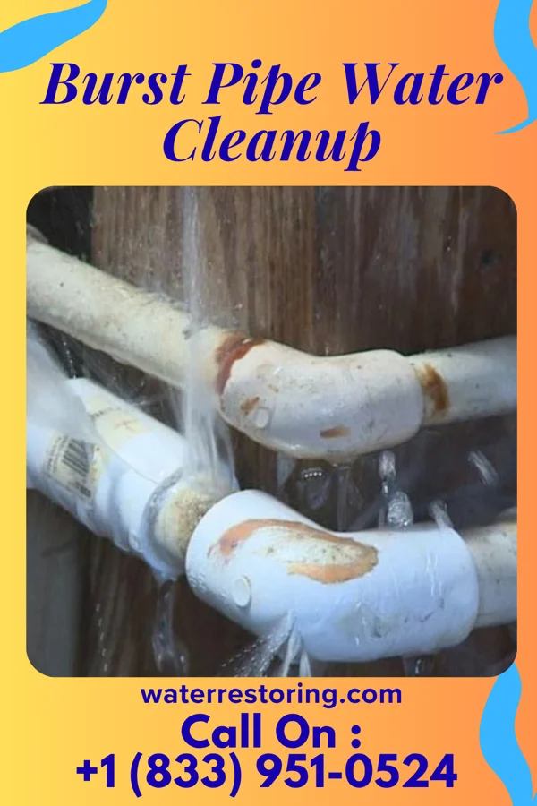 Burst Pipe Water Cleanup in Franklin, WI