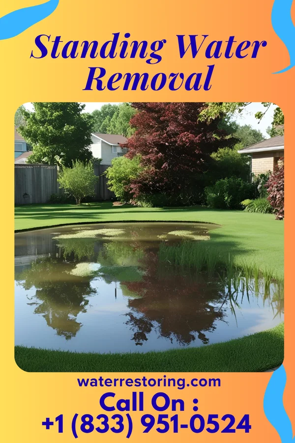 Standing Water Removal in Franklin, WI